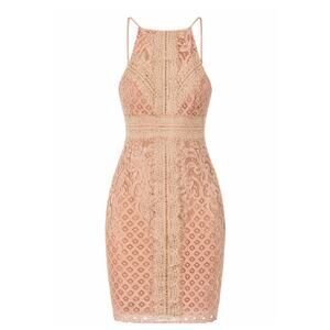 Keepsake the Label Bridges Lace Midi Dress Blush Pink Large